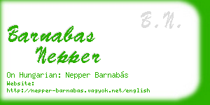 barnabas nepper business card