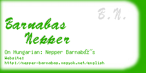barnabas nepper business card